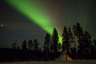 Low angle view of silhouette trees against sky at night