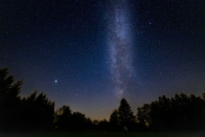 Milky-way and trees against sky at night