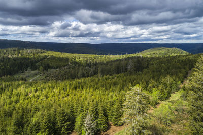 Scenic view of landscape against cloudy sky