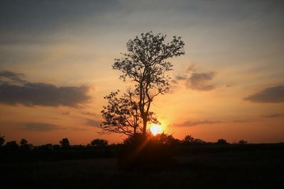 Silhouette tree on field against romantic sky at sunset