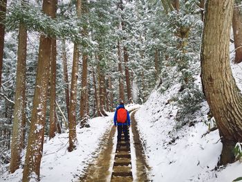 Rear view of person walking on staircase in snow covered forest