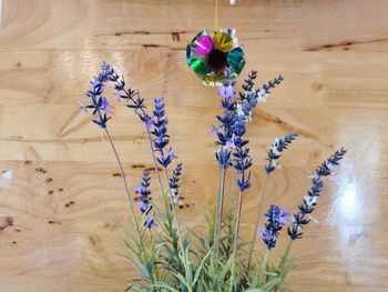 Close-up of flowering plant in vase on table