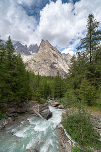 Stream flowing through rocks in forest against sky