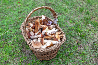 basket
