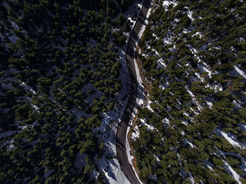 Low angle view of tree against sky