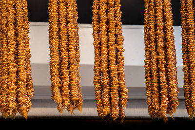 Close-up of food in row