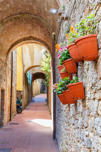 Flower pots hanging on a wall in a alley