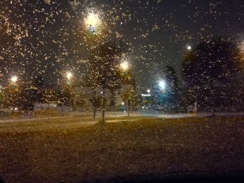 Illuminated trees against sky at night