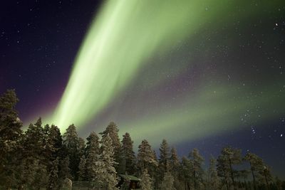 Low angle view of aurora polaris at night