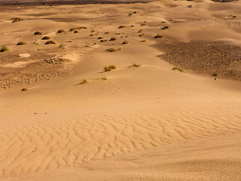 High angle view of sand dunes at beach