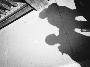 Shadow of tree on the wall