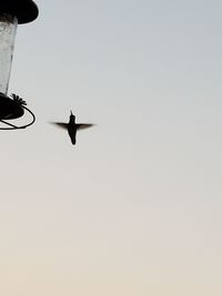 Low angle view of airplane flying in sky