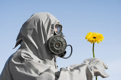 Low angle view of flowering plant against clear sky