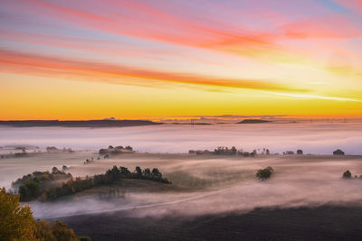 Sunrise with fog in the cultivated landscape