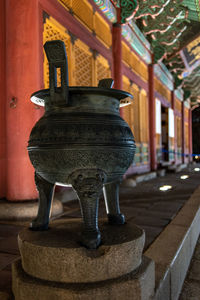 Close-up of a horse in a building