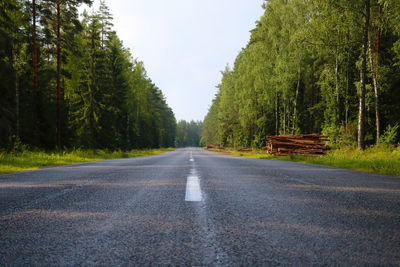 Surface level of road amidst trees against sky