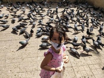 High angle view of girl feeding birds on sunny day during covid19