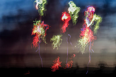Low angle view of firework display at night