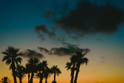 Low angle view of palm trees against sky during sunset