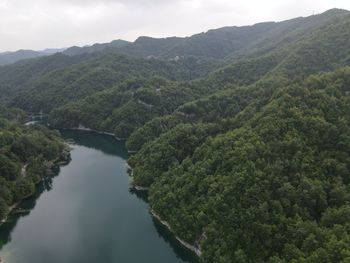 environment