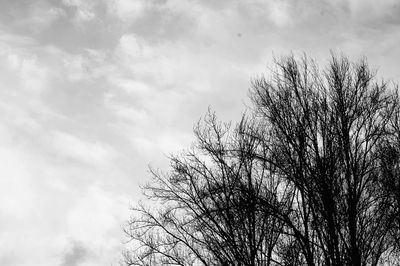 Low angle view of bare tree against cloudy sky