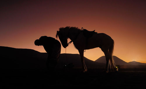 Silhouette man riding horse