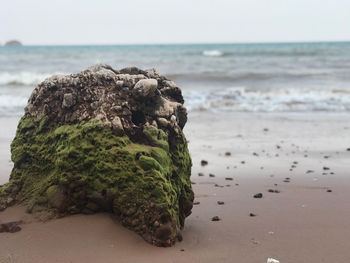 Close-up of rocks on beach against sky
