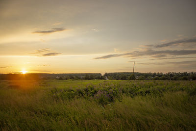 Scenic view of field against sky during sunset