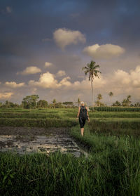 A woman walking at rice field with beautiful view.