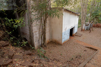 Abandoned building by trees