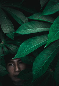 Close-up portrait of young man with leaves