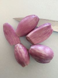 Close-up of pink flowers