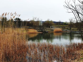 Scenic view of lake against clear sky