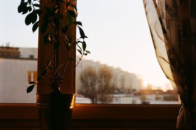 Close-up of window against clear sky