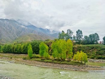 Scenic view of river by trees against sky