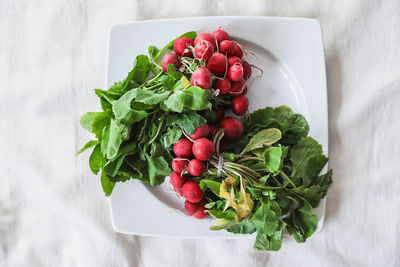 Farm fresh radish on white