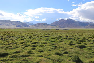 Scenic view of landscape against sky