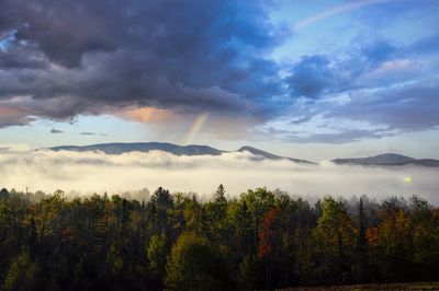 Scenic view of trees and mountains against sky