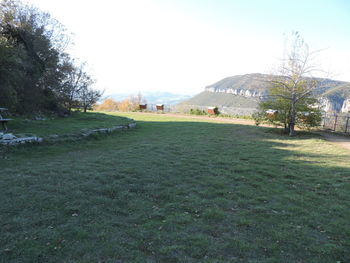 Scenic view of field against sky