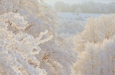 Close-up of frozen water