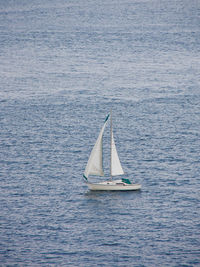 Sailboat sailing in sea