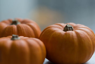 Close-up of pumpkins