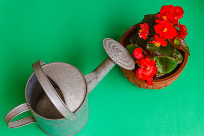 High angle view of red rose on table