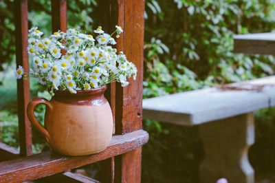 Close-up of potted plant on wooden table