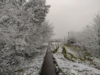 Snow covered road amidst trees against sky