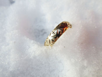 macro photography