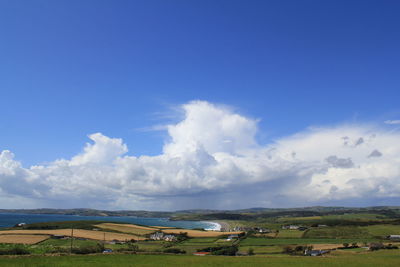 Scenic view of field against blue sky