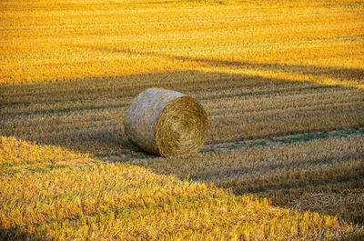 Hay bales on field