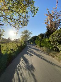 Road amidst trees against sky on sunny day