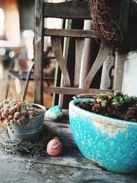 Close-up of potted plant on table